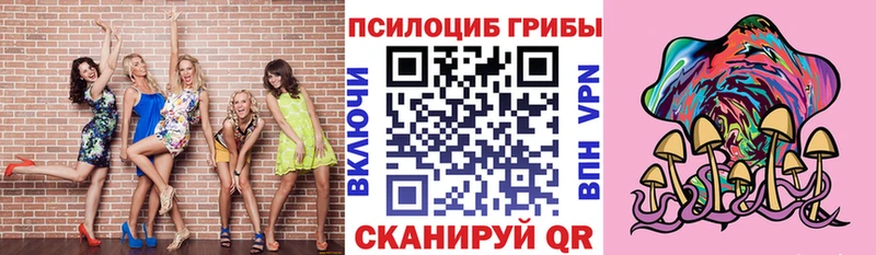 Купить где  Мамадыш  Галлюциногенные грибы мухоморы 